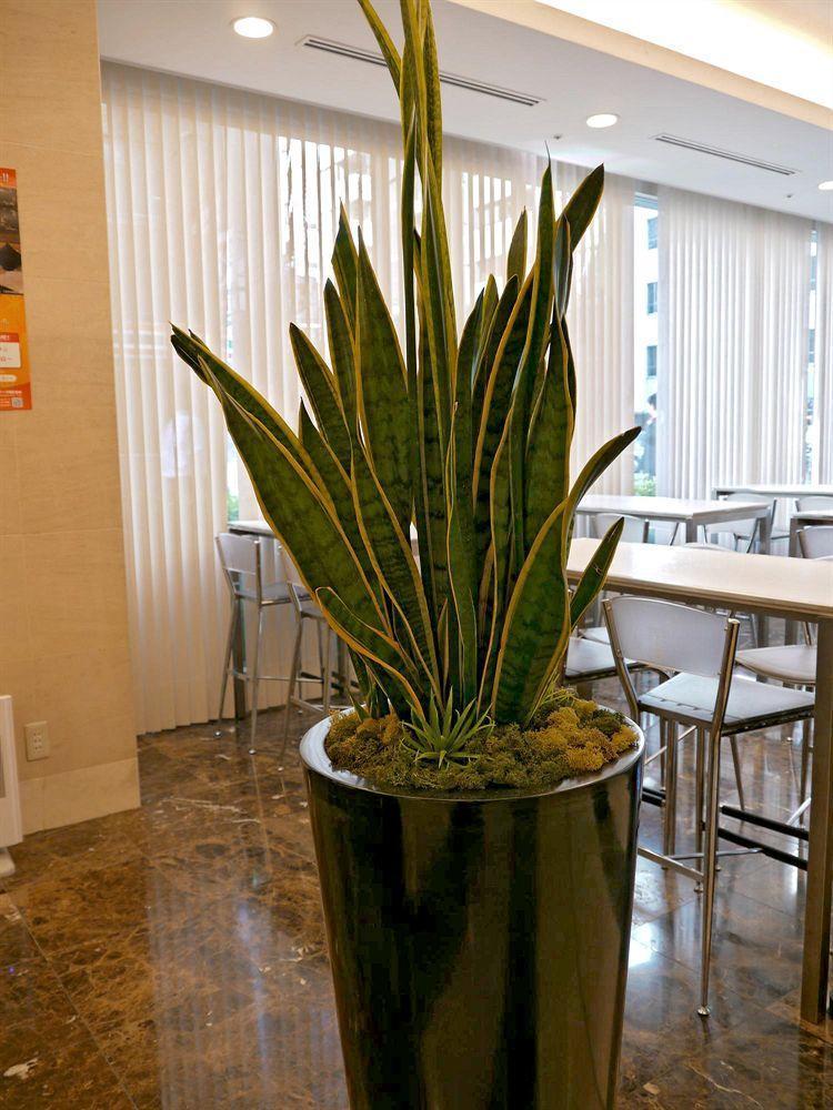 Hotel Villa Fontaine Tokyo-Otemachi Esterno foto
